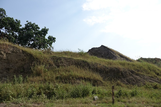 Hills with grass