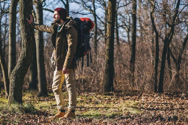 暖かいジャケット、帽子、アクティブな観光客を身に着けている秋の森のバックパックで旅行する流行に敏感な男、寒い季節に自然を探索