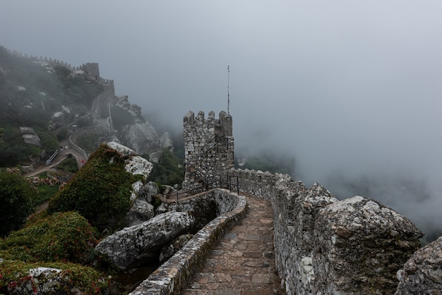 Foto gratuita storico castello dei mori a sintra, in portogallo in una giornata nebbiosa