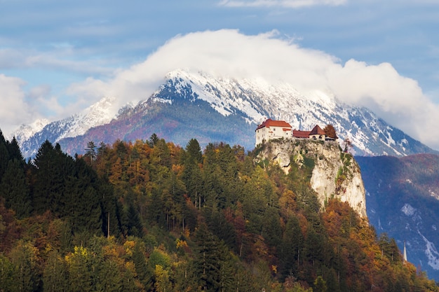Исторический замок на вершине холма в окружении красивых деревьев в Бледе, Словения