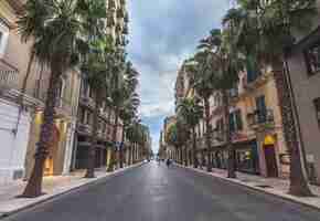 Free photo the historical center of a big city taranto in southern italy. empty streets of a beautiful cityside with a breathtaking architecture and palms.