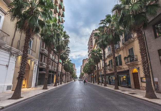 The historical center of a big city Taranto in southern Italy. Empty streets of a beautiful cityside with a breathtaking architecture and palms.