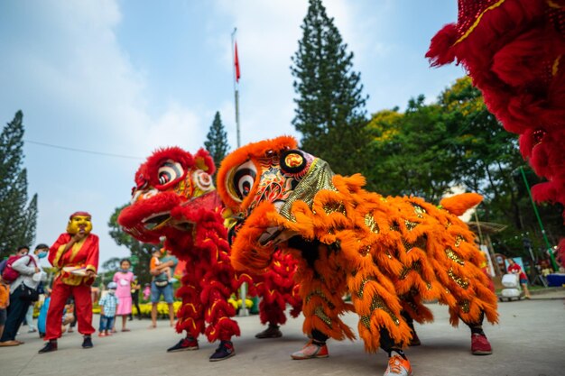 베트남 호치민시 - 2021년 1월 24일: 중국 설날 축제(tet 축제)에서 용과 사자 댄스 쇼, lion dance - 베트남의 용 및 사자 댄스 거리 공연