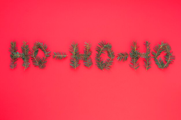 Ho Ho Ho надпись из ветвей
