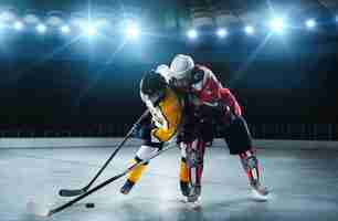 Free photo hockey players