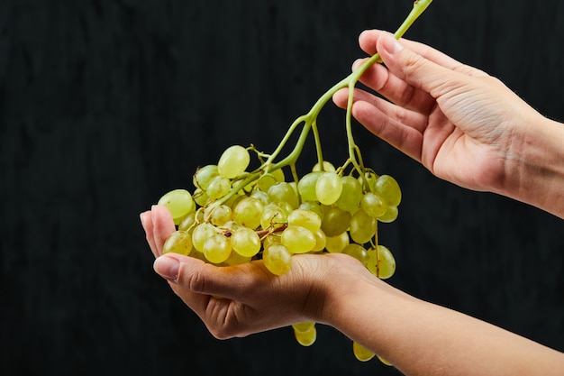 Tenendo un grappolo d'uva bianca sulla superficie nera