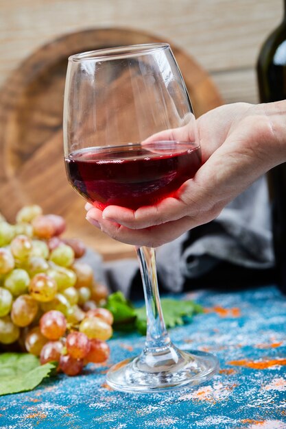 Holding a glass of red wine on a blue table with a bunch grapes