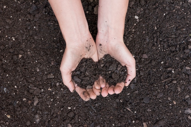 Holding soil