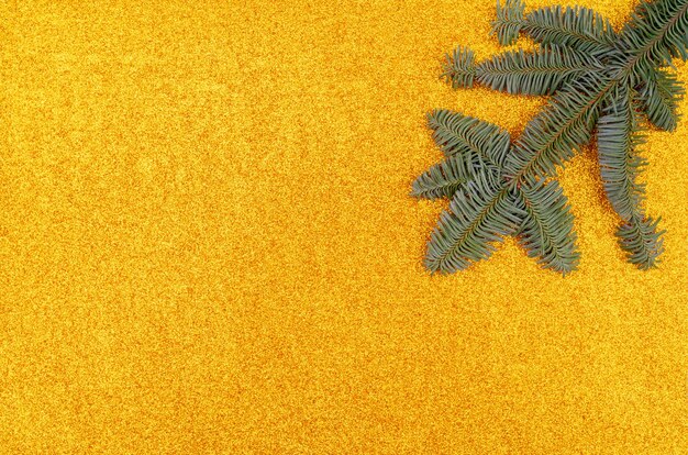 Holiday background. Christmas tree branches on golden background.