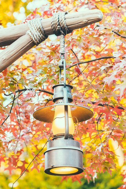 holiday outdoor filter candle night