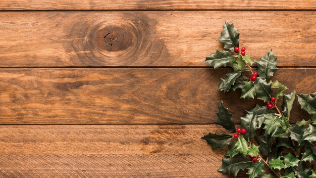 Holly branches on wooden table 