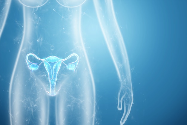 Hologram of the female organ of the uterus silhouette of the female body