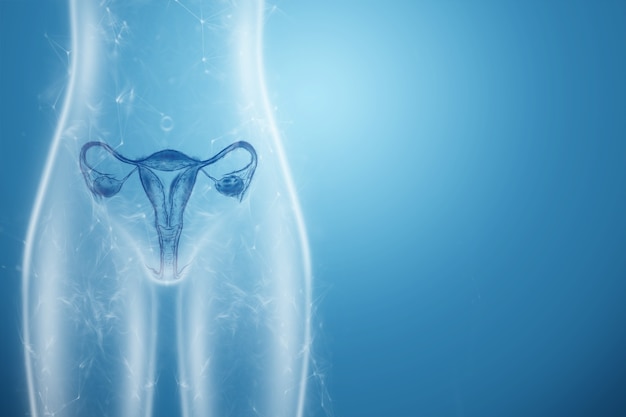 Hologram of the female organ of the uterus silhouette of the female body