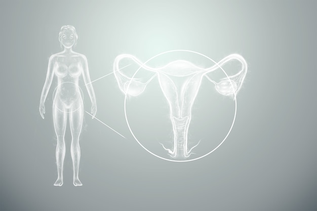 Hologram of the female organ of the uterus silhouette of the female body Premium Photo