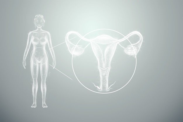 Hologram of the female organ of the uterus silhouette of the female body