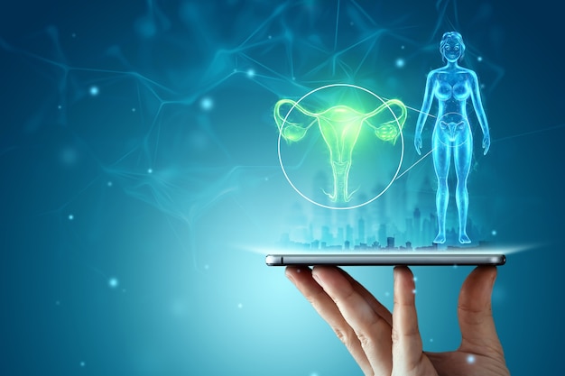 Hologram of the female organ of the uterus over the tablet. ultrasound concept, gynecology, obstetrics, pregnancy, modern medicine.