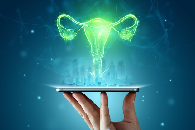 Hologram of the female organ of the uterus over the tablet. ultrasound concept, gynecology, obstetrics, pregnancy, modern medicine.