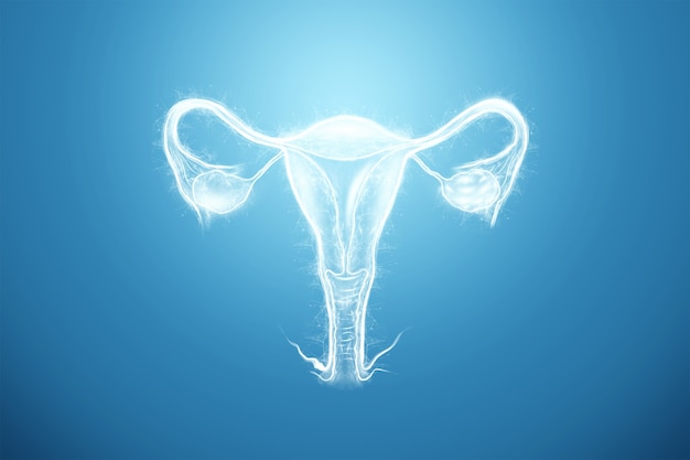 Hologram of the female organ of the uterus Premium Photo