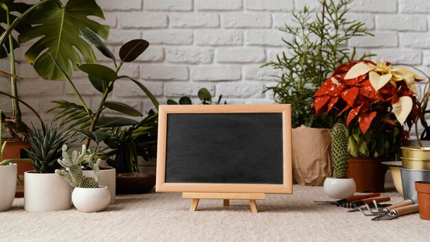 Home garden arrangement with chalkboard