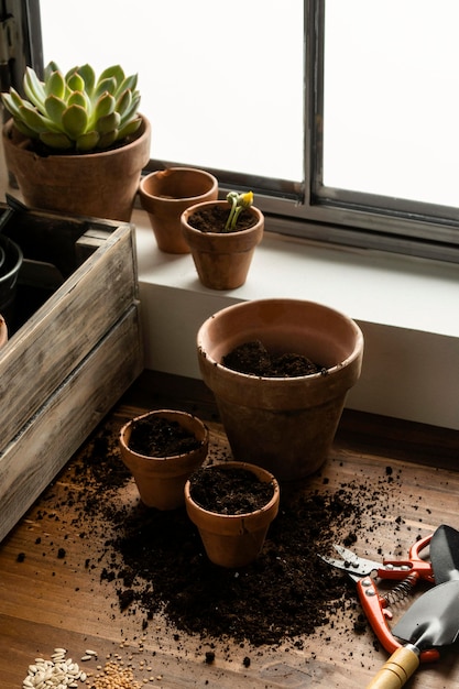 Foto gratuita giardinaggio domestico