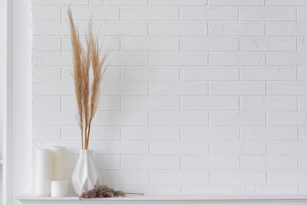 Free Photo home plant decoration arrangement with copy space
