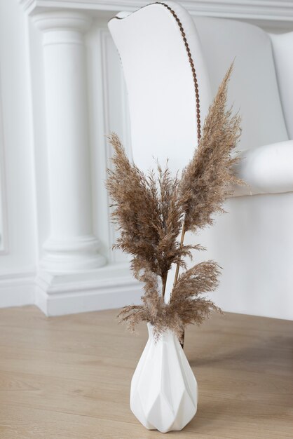 Home plant in vase decoration arrangement