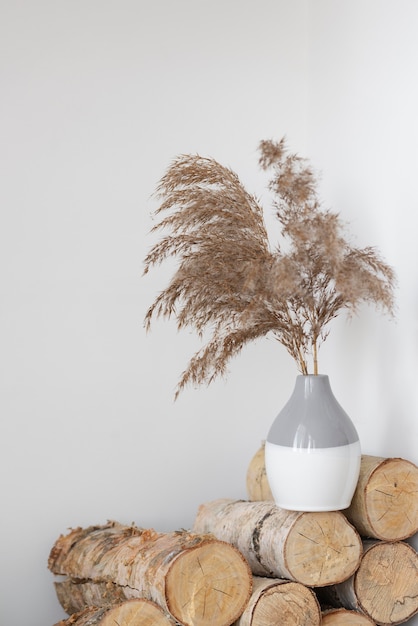 Free photo home plant in vase decoration arrangement