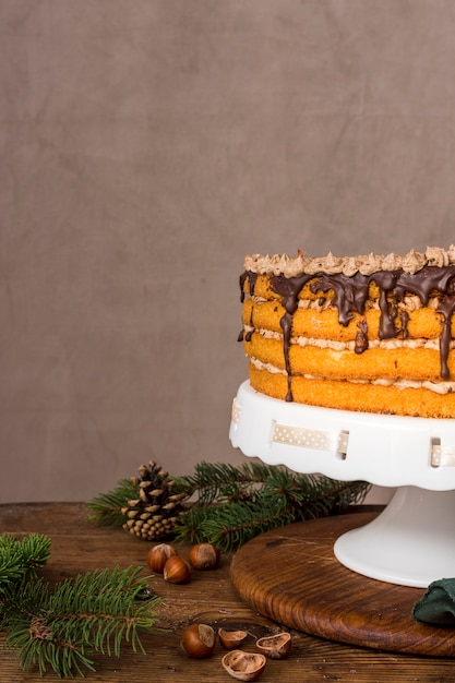 Torta fatta in casa con glassa al cioccolato