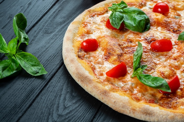 Homemade fresh pizza margherita with red sauce, basil and cherry tomato on a black wooden with copy space.