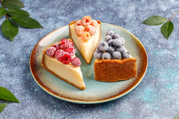 냉동 딸기와 민트, 건강 한 유기농 디저트와 함께 만든 뉴욕 치즈 케이크