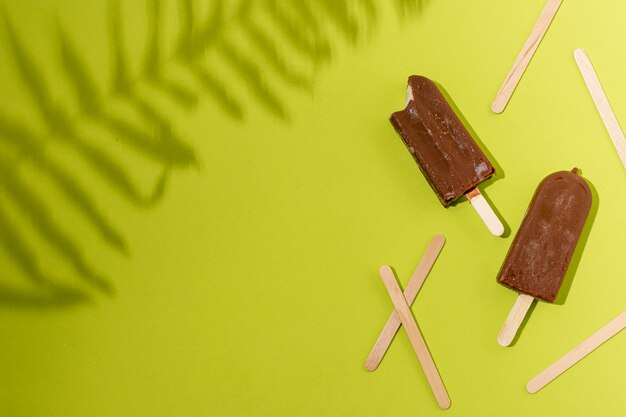 Homemade popsicle ice cream and shadow of plant