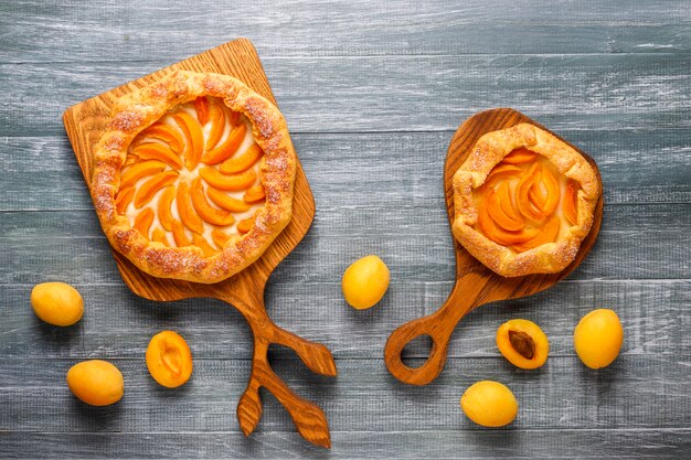 Homemade rustic apricot galettes with fresh organic apricot fruits