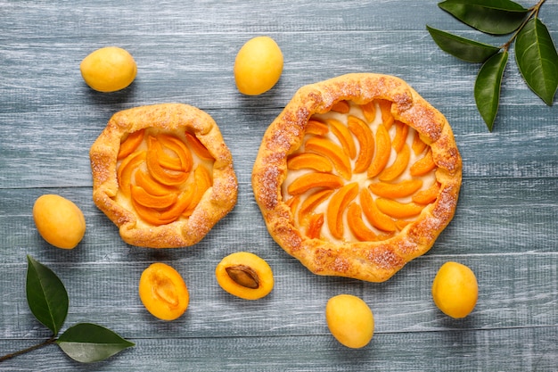 Foto gratuita galette rustiche fatte in casa all'albicocca con frutti freschi di albicocca biologici