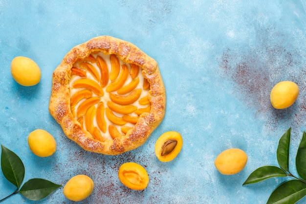 Homemade rustic apricot galettes with fresh organic apricot fruits.