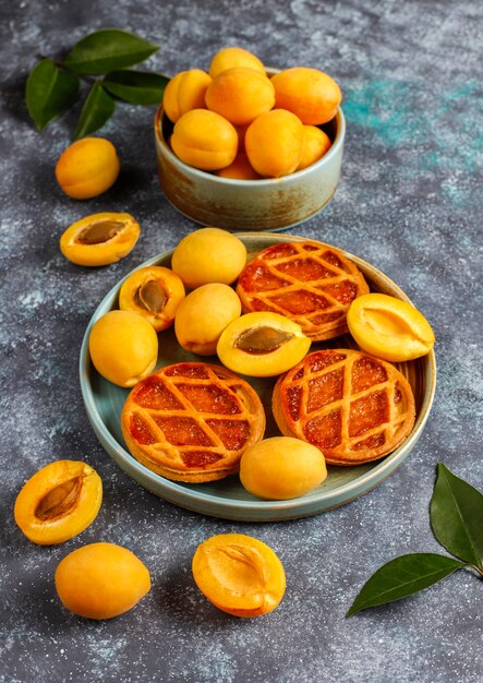 Homemade rustic mini apricot pie or tarts with fresh apricot fruits.