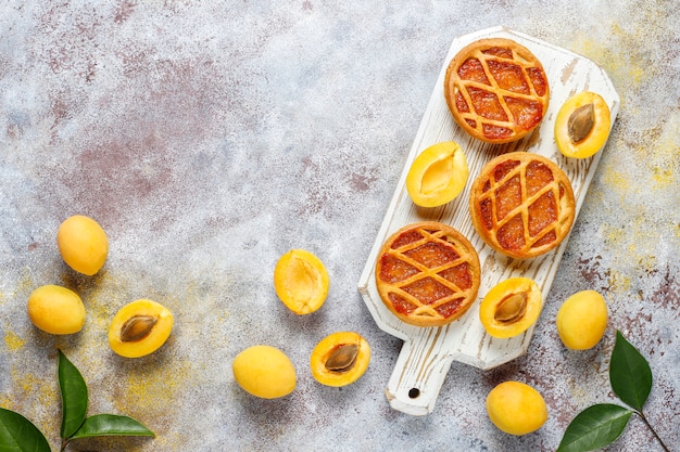 Homemade rustic mini apricot pies with fresh apricot fruits