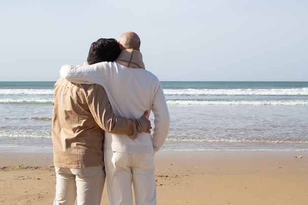 Homosexual men hugging and looking at sea