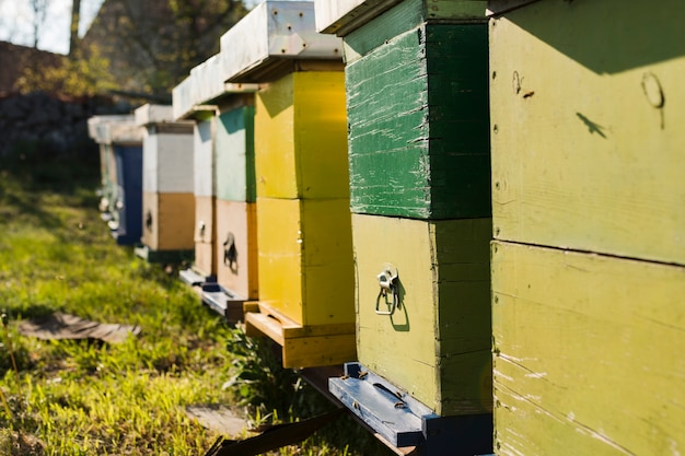 Honey farm landscape