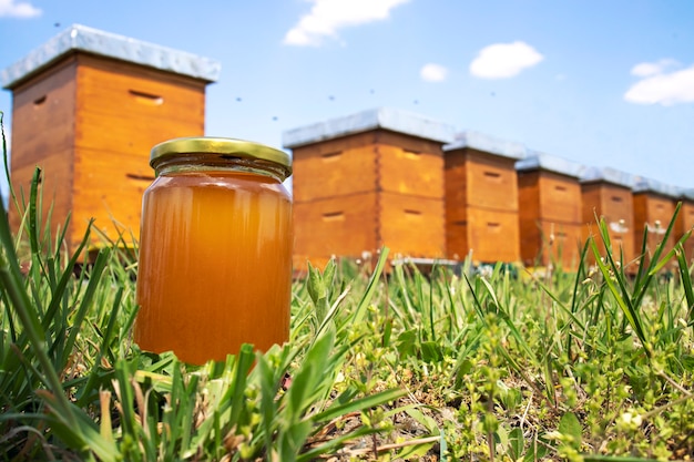 Honey jar and beehives on meadow in springtime