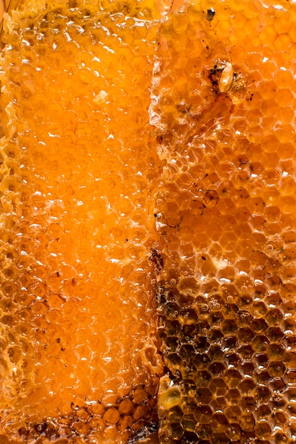 Honeycomb detail