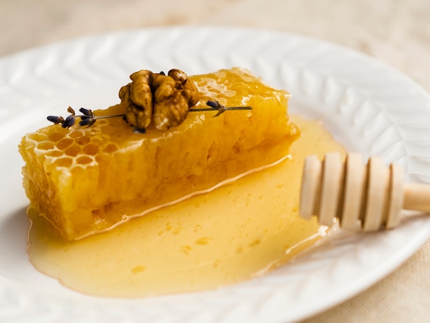 Honeycomb slice with walnut close up