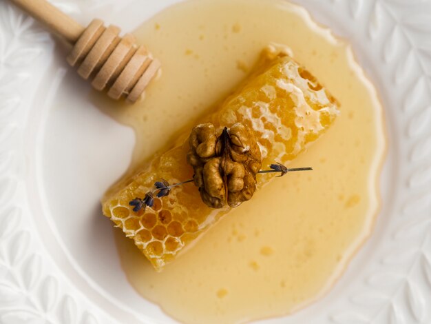 honeycomb with walnut in flat lay