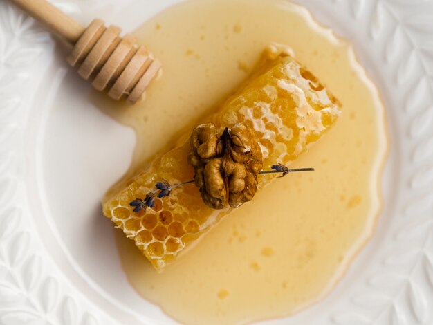 Honeycomb with walnut in flat lay