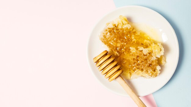 Honeycomb and wooden honey dipper in plate on dual background