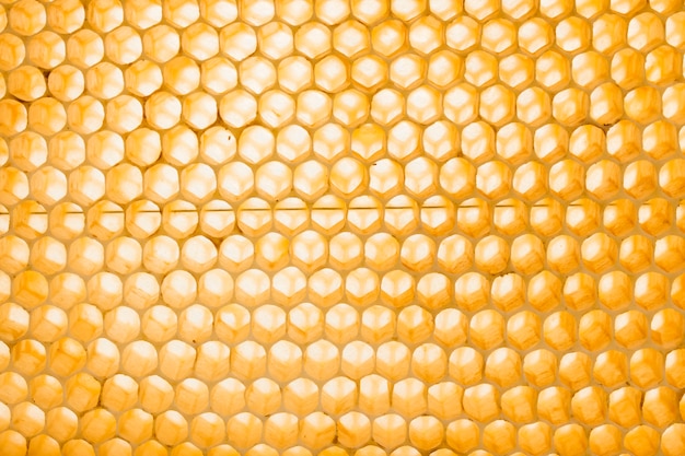 Free photo honeycomb