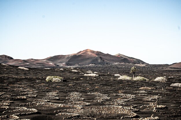 일광 동안 Lanzarote, 스페인의 아름다운 풍경의 가로 샷