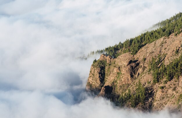 Horizontal shot of a beautiful mountain with green trees visible through clouds during daylight