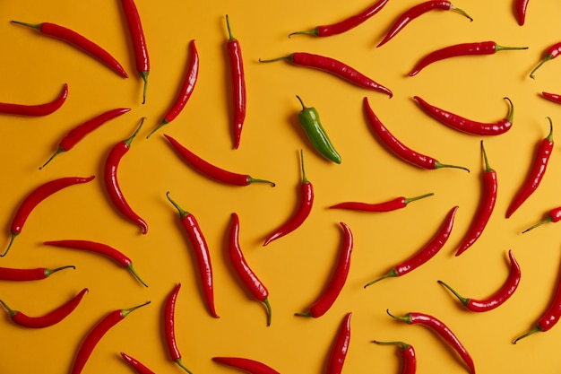 Горизонтальное изображение выше выбора горячего красного перца чили и одного зеленого цвета, изолированного на желтом фоне. Свежие горящие овощи для приготовления обеда. Концепция ароматизаторов и приправ. Богатый урожай