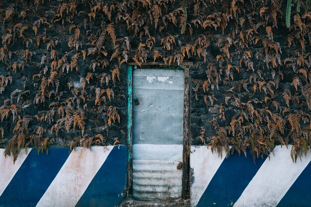 乾燥した葉の背景を持つ古い金属製のドアの水平ショット