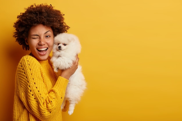 Горизонтальный снимок оптимистичной дамы, подмигивающей глазами, счастливая купить собаку породы, несет щенка белого шпица, веселится вместе в помещении, носит вязаный джемпер, позирует в помещении у желтой стены.